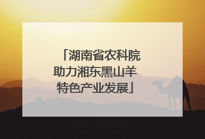 湖南省农科院助力湘东黑山羊特色产业发展