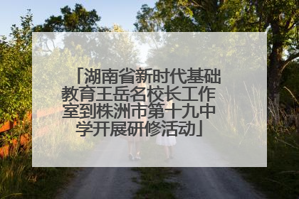 湖南省新时代基础教育王岳名校长工作室到株洲市第十九中学开展研修活动