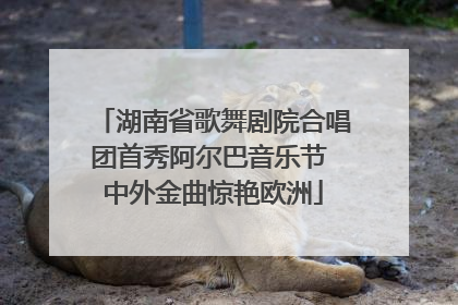 湖南省歌舞剧院合唱团首秀阿尔巴音乐节 中外金曲惊艳欧洲