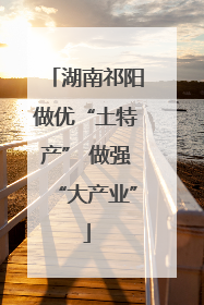 湖南祁阳做优“土特产” 做强“大产业”