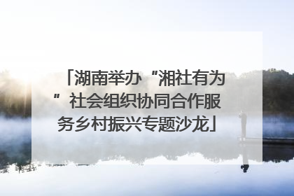 湖南举办“湘社有为”社会组织协同合作服务乡村振兴专题沙龙