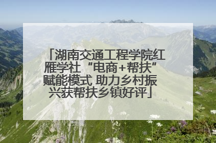 湖南交通工程学院红雁学社“电商+帮扶”赋能模式 助力乡村振兴获帮扶乡镇好评