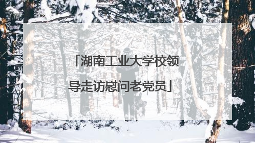 湖南工业大学校领导走访慰问老党员