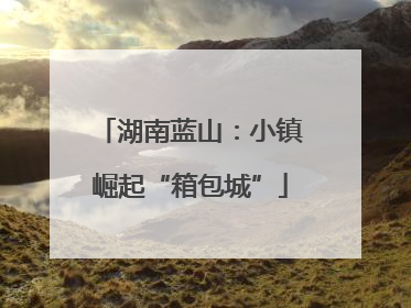 湖南蓝山：小镇崛起“箱包城”