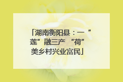 湖南衡阳县：一“莲”融三产 “荷”美乡村兴业富民