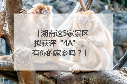 湖南这5家景区拟获评“4A”，有你的家乡吗？