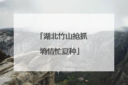 湖北竹山抢抓墒情忙夏种
