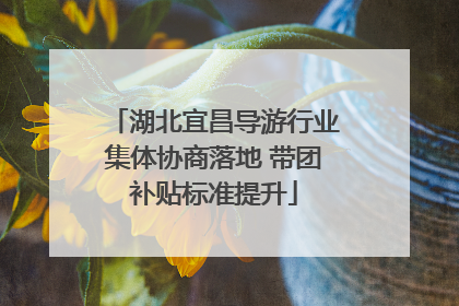 湖北宜昌导游行业集体协商落地 带团补贴标准提升