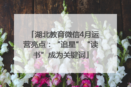 湖北教育微信4月运营亮点：“追星”“读书”成为关键词
