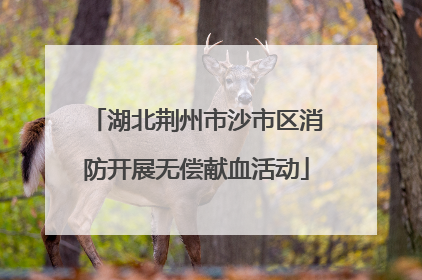 湖北荆州市沙市区消防开展无偿献血活动