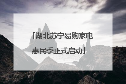 湖北苏宁易购家电惠民季正式启动