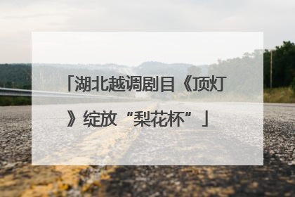 湖北越调剧目《顶灯》绽放“梨花杯”