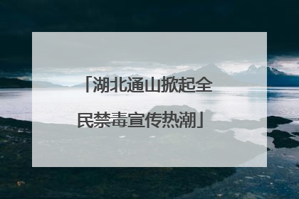 湖北通山掀起全民禁毒宣传热潮