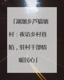 湖潮乡芦猫塘村：夜访乡村巷陌，驻村干部情暖民心