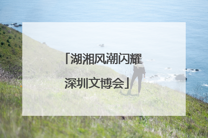 湖湘风潮闪耀深圳文博会
