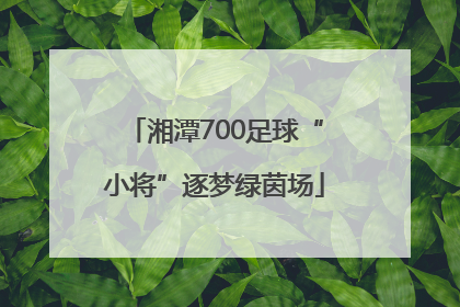 湘潭700足球“小将”逐梦绿茵场