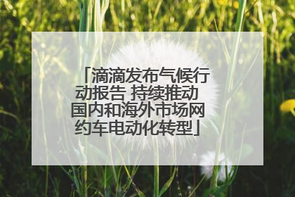 滴滴发布气候行动报告 持续推动国内和海外市场网约车电动化转型