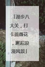 漫步八大关，打卡蔷薇花，邂逅浪漫风景