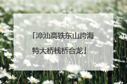 漳汕高铁东山跨海特大桥栈桥合龙