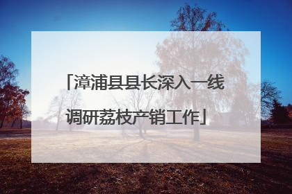 漳浦县县长深入一线调研荔枝产销工作