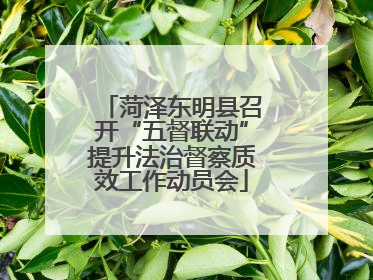 菏泽东明县召开“五督联动”提升法治督察质效工作动员会