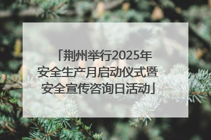 荆州举行2025年安全生产月启动仪式暨安全宣传咨询日活动