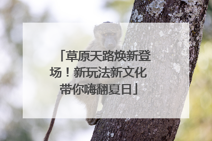 草原天路焕新登场！新玩法新文化带你嗨翻夏日