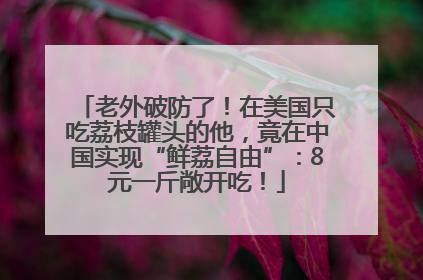 老外破防了！在美国只吃荔枝罐头的他，竟在中国实现“鲜荔自由”：8元一斤敞开吃！