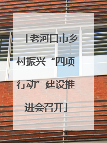 老河口市乡村振兴“四项行动”建设推进会召开