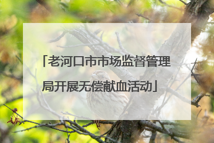 老河口市市场监督管理局开展无偿献血活动