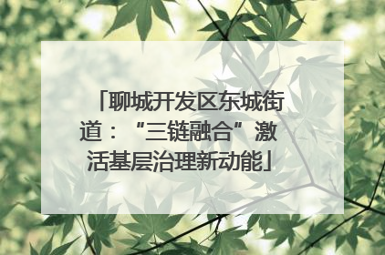 聊城开发区东城街道：“三链融合”激活基层治理新动能