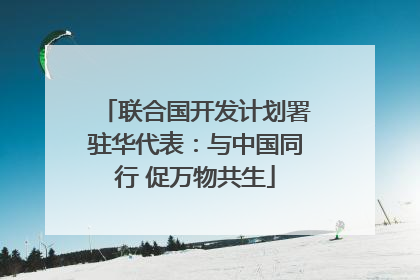 联合国开发计划署驻华代表：与中国同行 促万物共生