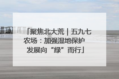 聚焦北大荒｜五九七农场：加强湿地保护 发展向“绿”而行