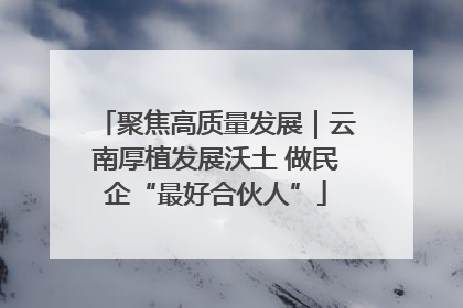 聚焦高质量发展｜云南厚植发展沃土 做民企“最好合伙人”