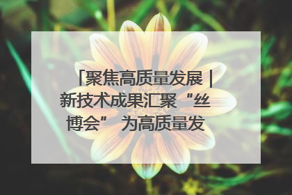聚焦高质量发展｜新技术成果汇聚“丝博会” 为高质量发展注入新动能