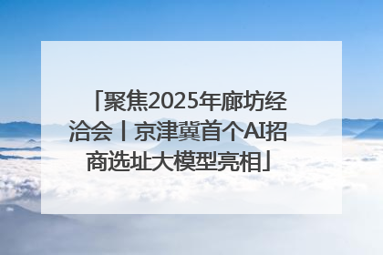聚焦2025年廊坊经洽会丨京津冀首个AI招商选址大模型亮相