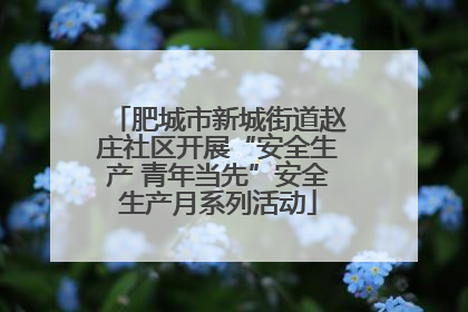 肥城市新城街道赵庄社区开展“安全生产 青年当先”安全生产月系列活动