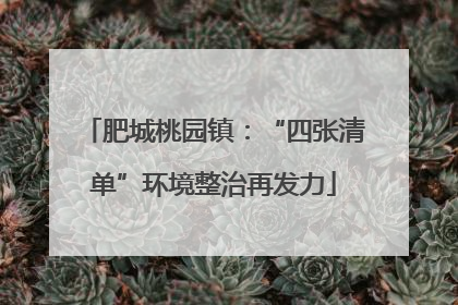 肥城桃园镇：“四张清单”环境整治再发力