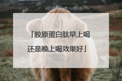 胶原蛋白肽早上喝还是晚上喝效果好