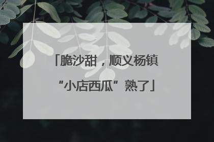 脆沙甜，顺义杨镇“小店西瓜”熟了
