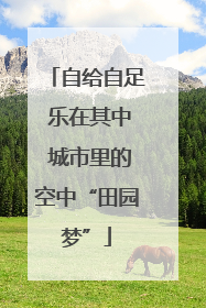 自给自足 乐在其中 城市里的空中“田园梦”