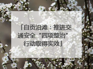 自贡沿滩：推进交通安全“四项整治”行动取得实效