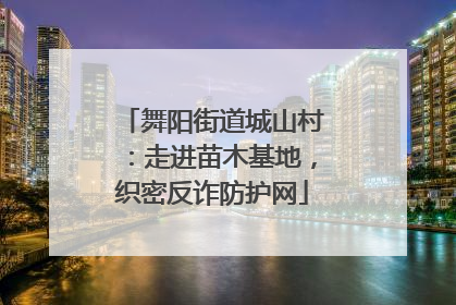 舞阳街道城山村：走进苗木基地，织密反诈防护网