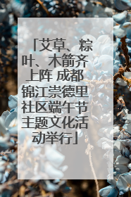艾草、粽叶、木箭齐上阵 成都锦江崇德里社区端午节主题文化活动举行