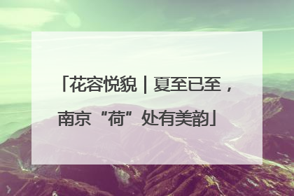 花容悦貌｜夏至已至，南京“荷”处有美韵