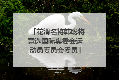 花滑名将韩聪将竞选国际奥委会运动员委员会委员