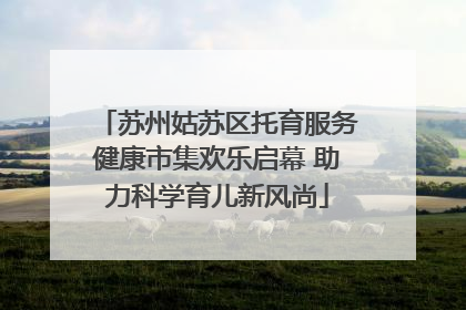 苏州姑苏区托育服务健康市集欢乐启幕 助力科学育儿新风尚