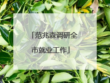 范兆森调研全市就业工作