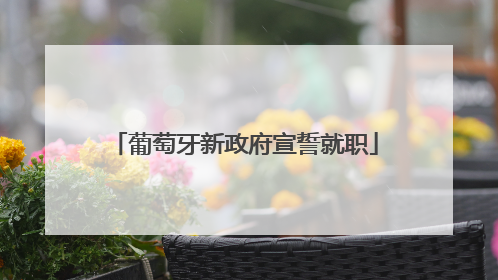 葡萄牙新政府宣誓就职