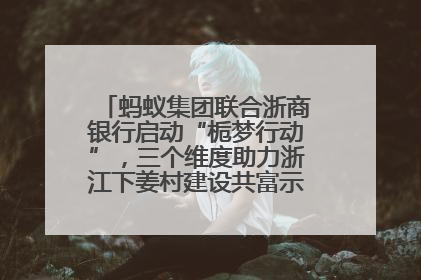 蚂蚁集团联合浙商银行启动“栀梦行动”，三个维度助力浙江下姜村建设共富示范区示范点